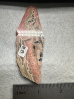 Rhodochrosite Slab #13 – Natural Pink Banded Rhodochrosite Mineral Specimen