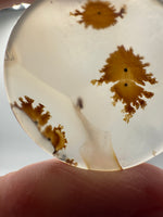 Scenic Dendritic Agate Cabochon #7