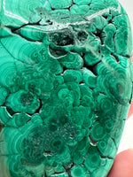 Polished Malachite Freeform #2 Zaire, Africa