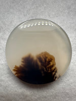 Designer Dendritic Agate Cabochon #7