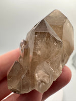 Kundalini Natural Citrine Crystal, D R Congo, Lightbrary #9
