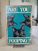 Curious Cats Are You Pooping Novelty Tin Sign