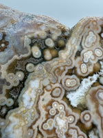 8th Vein Ocean Jasper Slab #65
