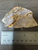 8th Vein Ocean Jasper Slab #71