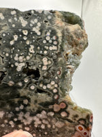 8th Vein Ocean Jasper Slab #20