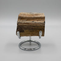 Petrified Wood Specimen #2