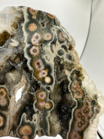 8th Vein Ocean Jasper Slab #38