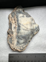 Dendritic Opal Slab