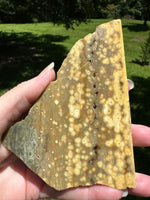 8th Vein Ocean Jasper Slab #99