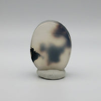 Designer Dendritic Agate Cabochon #11