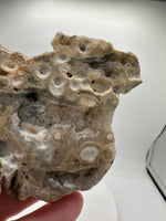 8th Vein Ocean Jasper Slab #26