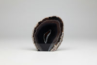 Polished Front Agate Geode #6