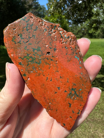 8th Vein Ocean Jasper Slab #126| Gems Minerals Rock