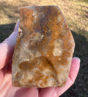 Savannah River Agate Specimen 1j