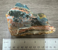 8th Vein Ocean Jasper Slab #57
