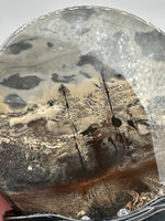 Natural Picture Jasper Slab with Stand #1