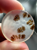 Scenic Dendritic Agate Cabochon #2