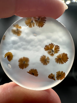 Scenic Dendritic Agate Cabochon #6