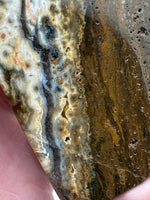 8th Vein Ocean Jasper Slab #15