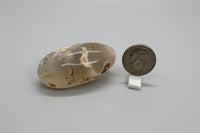 Flower Agate Palm Stone #3