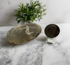 Flower Agate Palm Stone #3