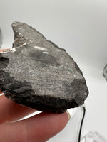 Natural Orthoceras Fossil Specimen #20