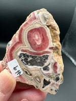 Rhodochrosite Slab #9 – Pink Banded Bullseye Orb – Polished Collector Specimen