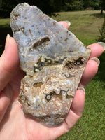8th Vein Ocean Jasper Slab #65