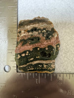 8th Vein Ocean Jasper Slab #113