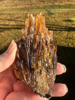 Natural Amber Calcite Raw Specimen UV Reactive #7