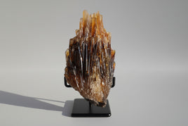 Natural Amber Calcite Raw Specimen UV Reactive #7