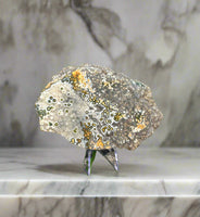 8th Vein Ocean Jasper Slab #125