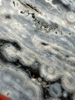 8th Vein Ocean Jasper Slab #45
