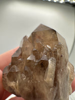 Kundalini Natural Citrine Crystal, D R Congo, Lightbrary, Specimen #3