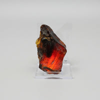 Raw Amber Specimen #11