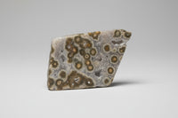 Ocean Jasper Free-form #9
