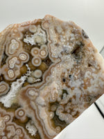 8th Vein Ocean Jasper Slab #65
