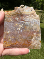 8th Vein Ocean Jasper Slab #66
