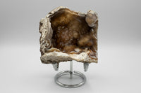 Withlacoochee River Agatized Coral #4