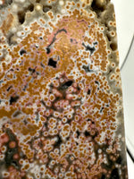 8th Vein Ocean Jasper Slab #24