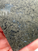 Free Form Pyrite Flowers Symbiosis Mixed Agate Slab #3