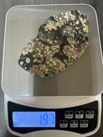 8th Vein Ocean Jasper Slab #19 – Dark Green with Cream & Peach Orbs