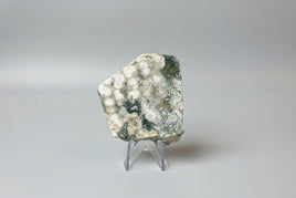 6th Vein Ocean Jasper Polished Freeform #5