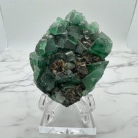 Diana Maria Fluorite Specimen #2