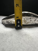 Natural Orthoceras Fossil Specimen #7