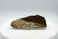 8th Vein Ocean Jasper Slab #15