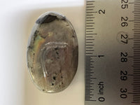 Colorful Labradorite Palmstone #18