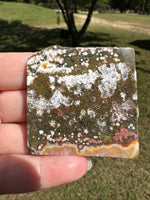 Ocean Jasper Free-form #1