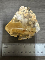 8th Vein Ocean Jasper Slab #58