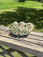 8th Vein Ocean Jasper Slab #122